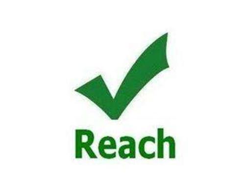【reach】reach是什么时候开始实施的